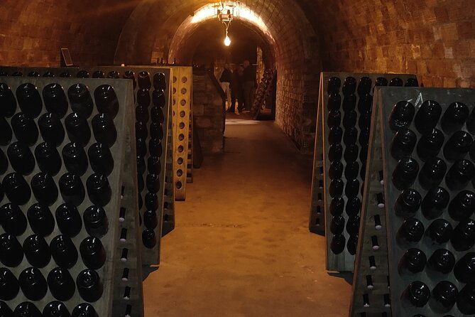 winery-visit-and-tasting-tour-in-the-champagne-vineyards