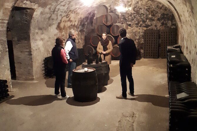 winery-visit-and-tasting-tour-in-the-champagne-vineyards