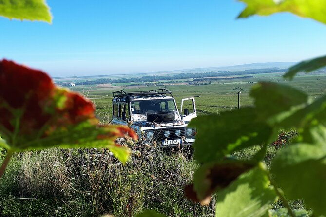 winery-visit-and-tasting-tour-in-the-champagne-vineyards