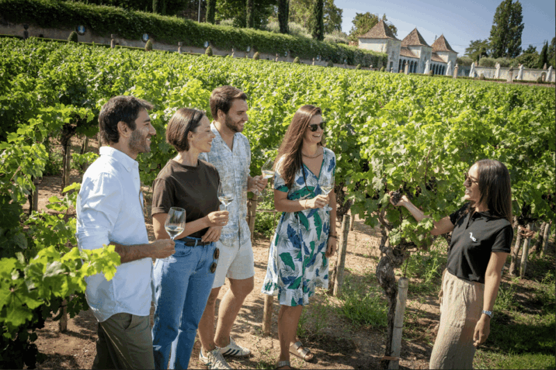 winery-visit-fish-market-tour-with-tasting-from-lisbon