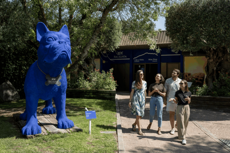 winery-visit-fish-market-tour-with-tasting-from-lisbon