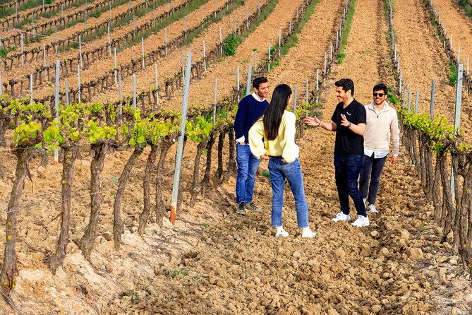 winery-visit-setubal-fish-market-tour-with-tasting-from-lisbon