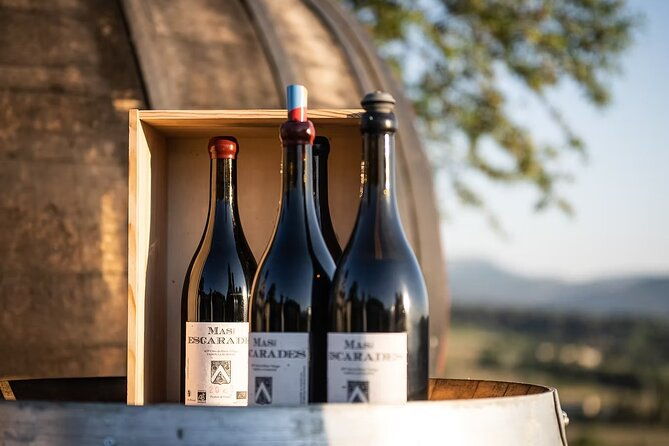 winery-visit-tasting-in-the-vineyards-mas-des-escarades