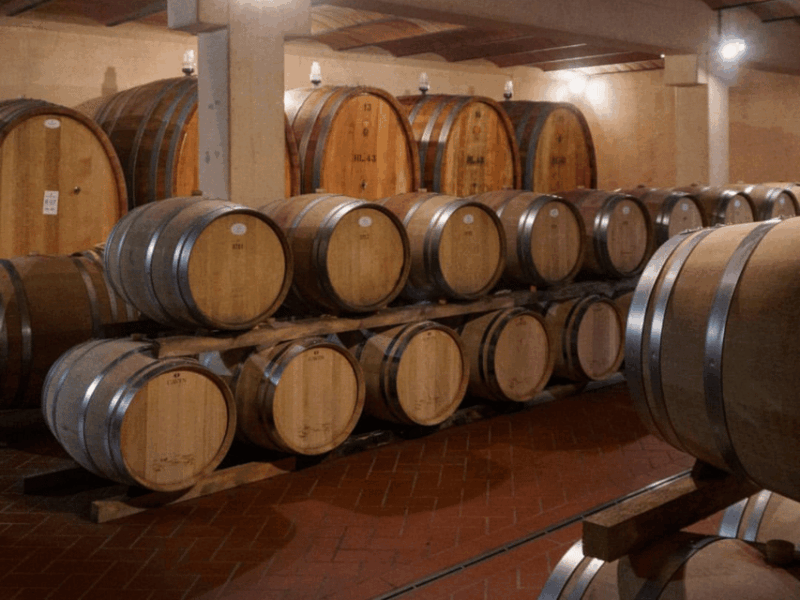 winery-visit-tasting-near-grosseto-with-6-wines