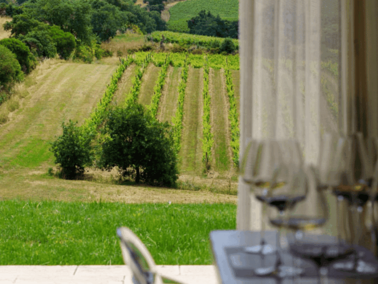winery-visit-tasting-near-grosseto-with-6-wines