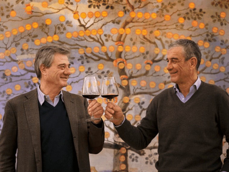 winery-visit-tasting-near-grosseto-with-6-wines