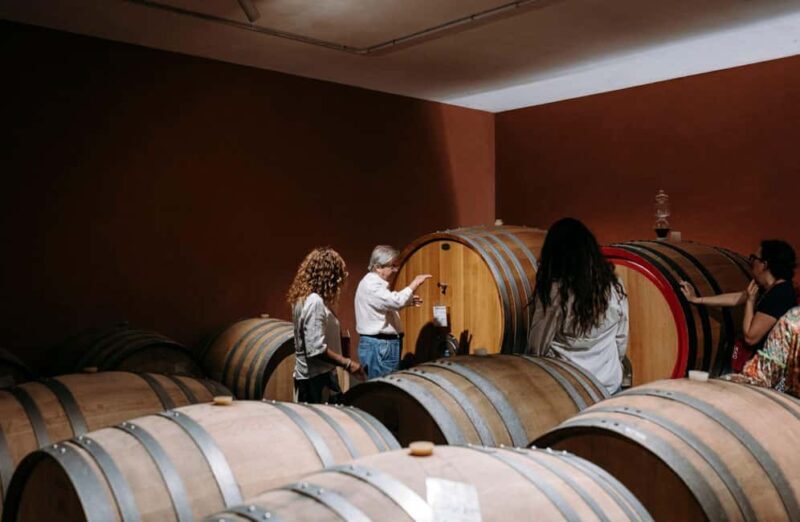 Winery Visit & Tasting on the Volcanic Slopes near Catania - Key Points