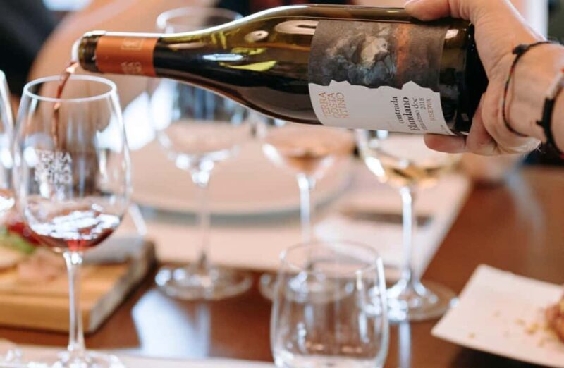 Winery Visit & Tasting on the Volcanic Slopes near Catania - A Closer Look at the Tour Experience