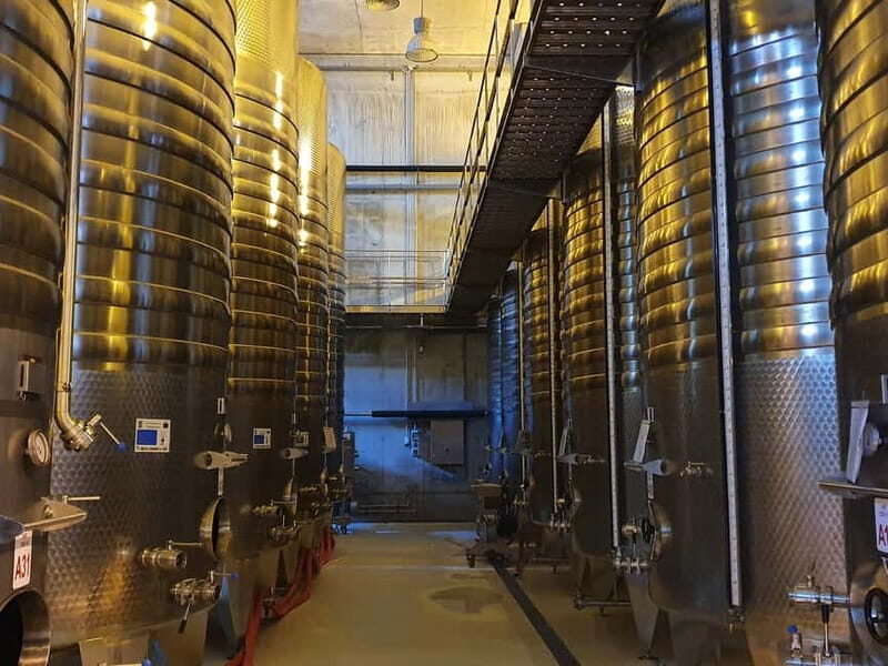 Winery visit & Wine Tasting: half-day tour - The Dealu Mare Region and Its Charm