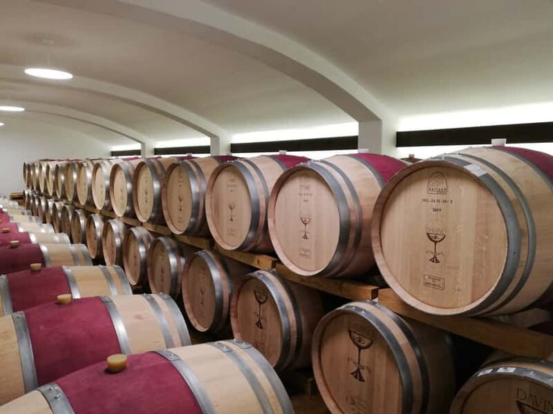 Winery visit & Wine Tasting: half-day tour - Tasting Five Romanian Wines