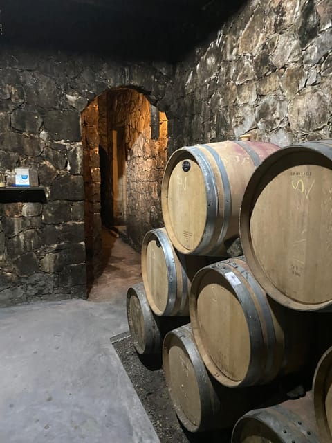 winery-winery-olive-oil-tasting-traditional-lunch