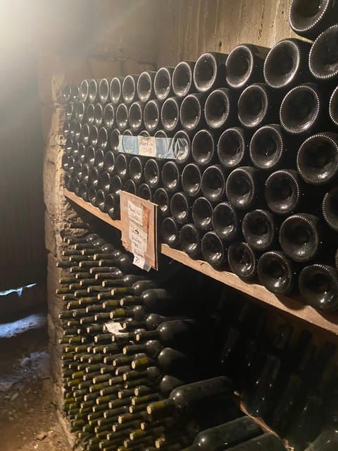 winery-winery-olive-oil-tasting-traditional-lunch