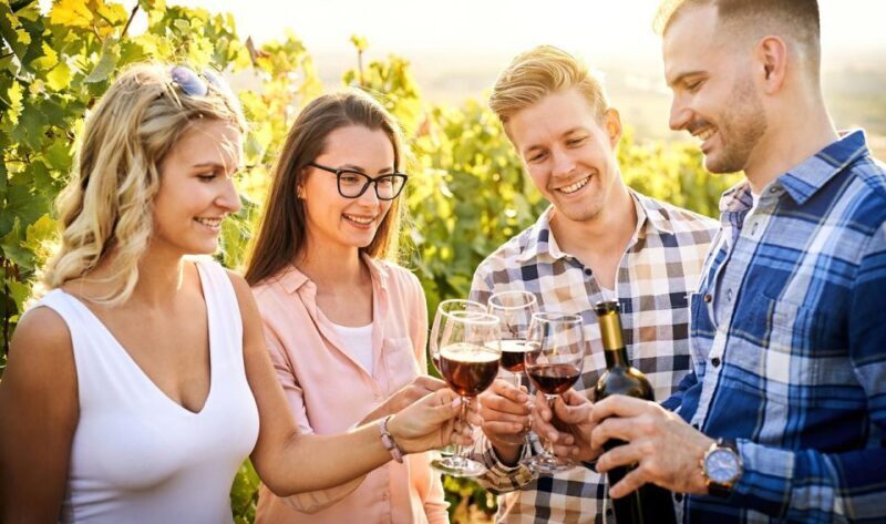 Wines and Whispers: A Barossa Valley Wine Tour from Adelaide - An In-Depth Look at the Tour Experience