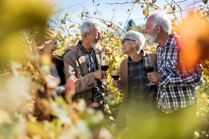 Wines and Whispers: A Barossa Valley Wine Tour from Adelaide - Authentic Insights from Reviews