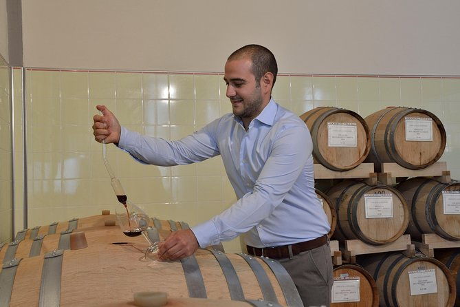 wines-cheeses-bruschettas-tasting-in-chianti-tour-at-the-winery-included