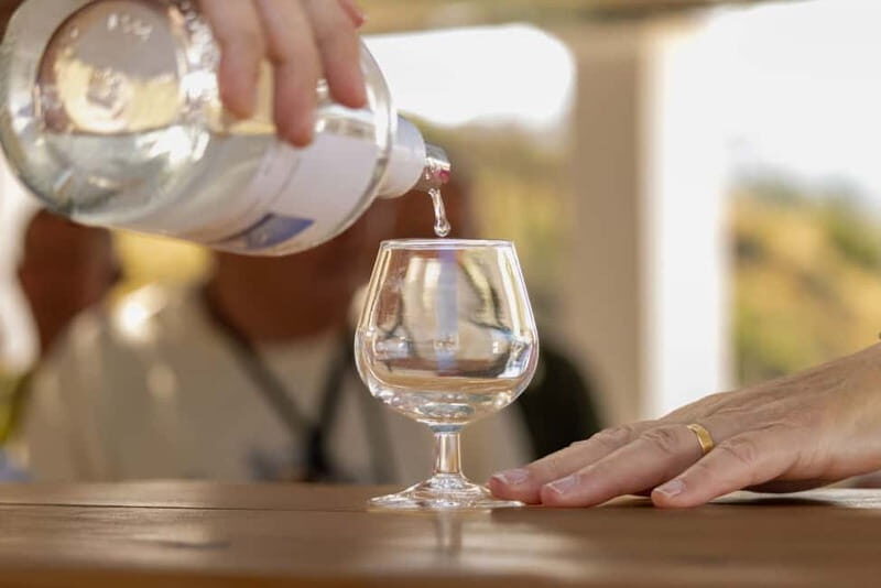 Wines of Rhodes: Traditional Wine Tasting in the vineyards - What to Expect from the Tour