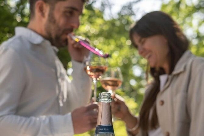wines-vineyards-and-picnic-the-charm-of-the-mendoza-wineries