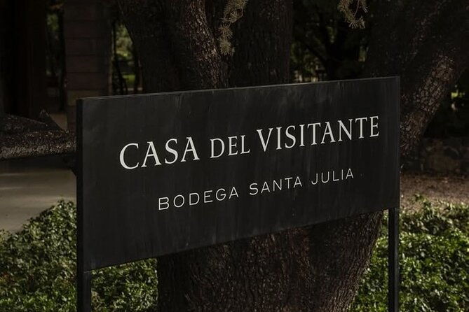 wines-vineyards-and-picnic-the-charm-of-the-mendoza-wineries