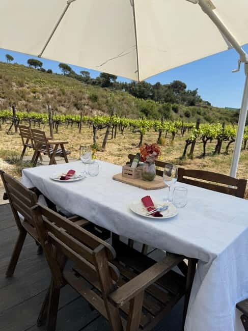 Wines & Wonders: Gaudís Hidden Gems - Final Thoughts