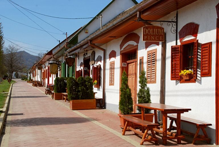Winetaste in Villany, sightseeing in Pécs, private tour - Who Will Love This Tour?