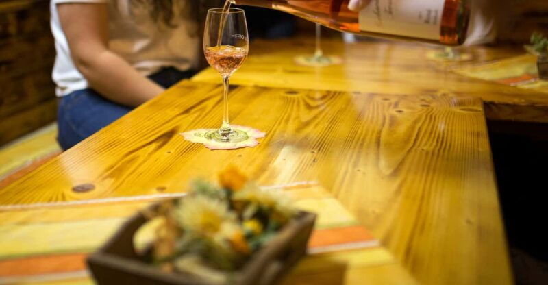 winetasting-with-tour-through-the-winery
