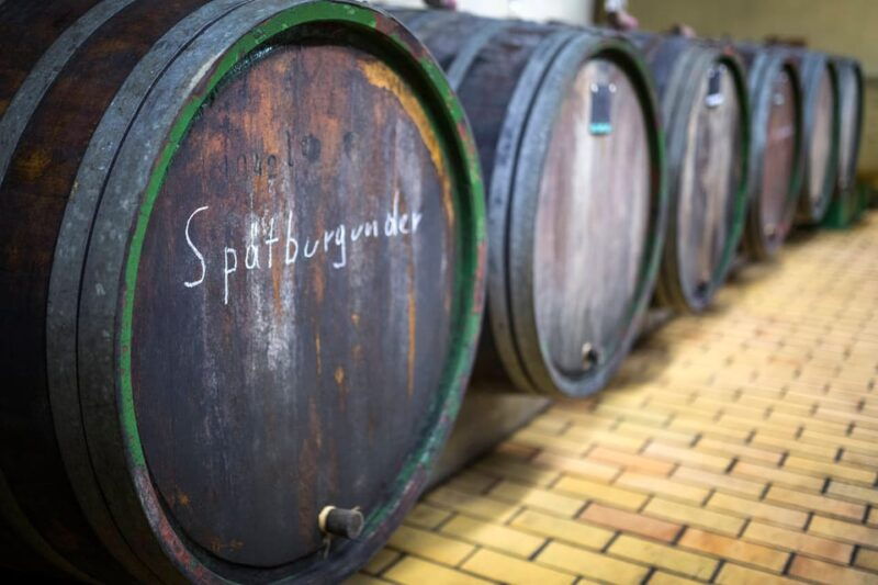 winetasting-with-tour-through-the-winery