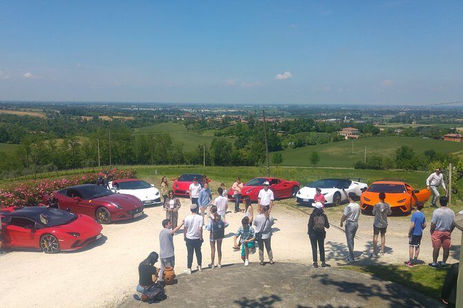 Winetour and tasting on Bologna hills, guided by the wine grower - Who Would Love This Tour?