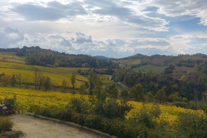 Winetour and tasting on Bologna hills, guided by the wine grower - Final Thoughts: Is It Worth It?