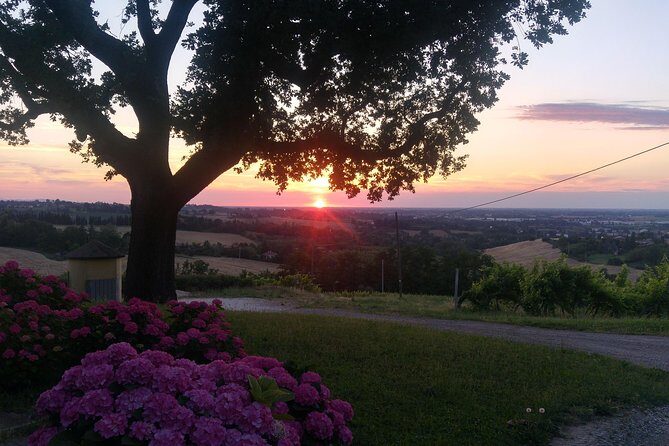 Winetour and tasting on Bologna hills, guided by the wine grower - FAQ