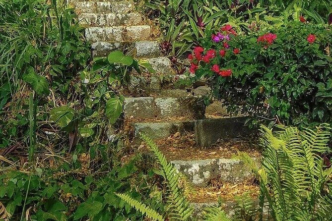 wingfield-rainforest-adventure-hike-caribelle-batik-stop