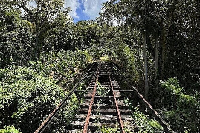 wingfield-rainforest-adventure-hike-caribelle-batik-stop