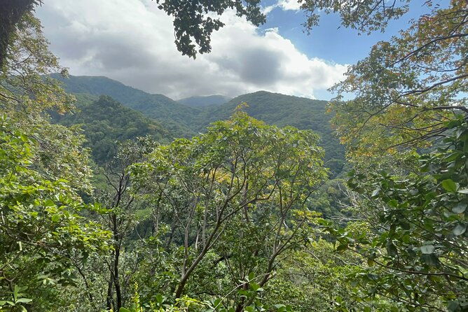 wingfield-rainforest-hike-romney-experience-st-kitts