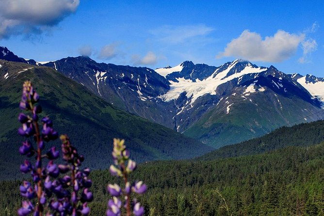 winter-alaska-wildlife-center-with-alyeska-tram
