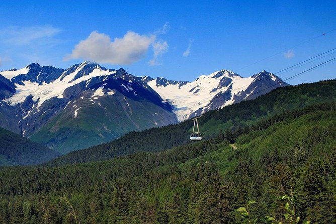 winter-alaska-wildlife-center-with-alyeska-tram
