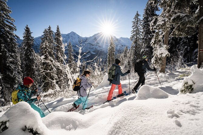 winter-alpine-adventure