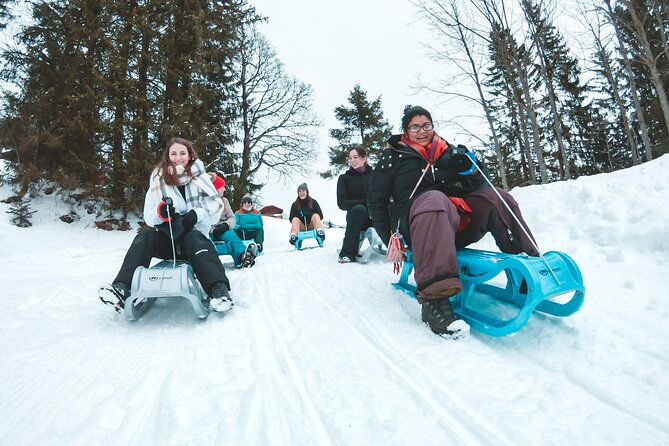 winter-alpine-adventure