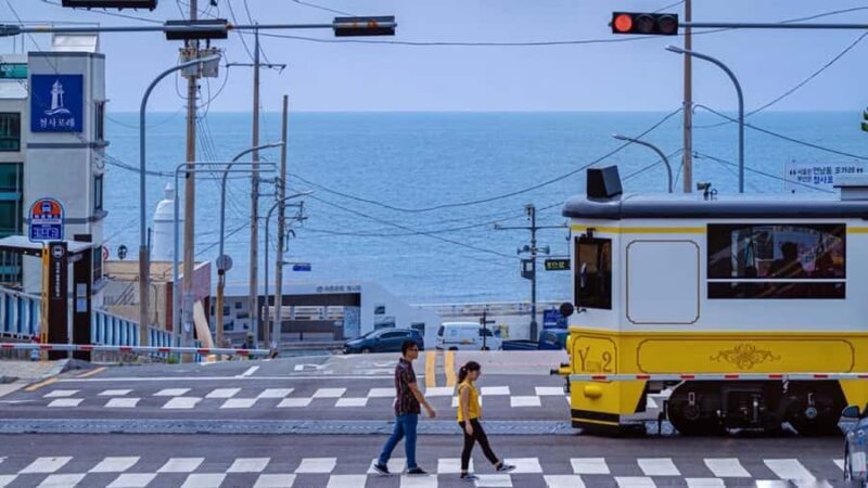 [Winter] Biseulsan Ice Festival & Must-visit Places in Busan - An In-Depth Look at the [Winter] Biseulsan Ice Festival & Must-visit Places in Busan