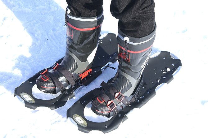 winter-coastal-scenic-snowshoeing-experience