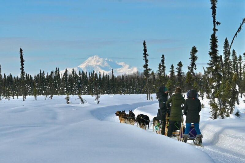 Winter Dog Sled Tour Day or Night Mush! - What Makes This Tour Stand Out