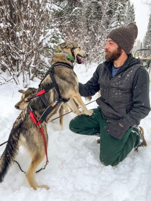 Winter Dog Sled Tour Day or Night Mush! - What to Expect and Practical Tips