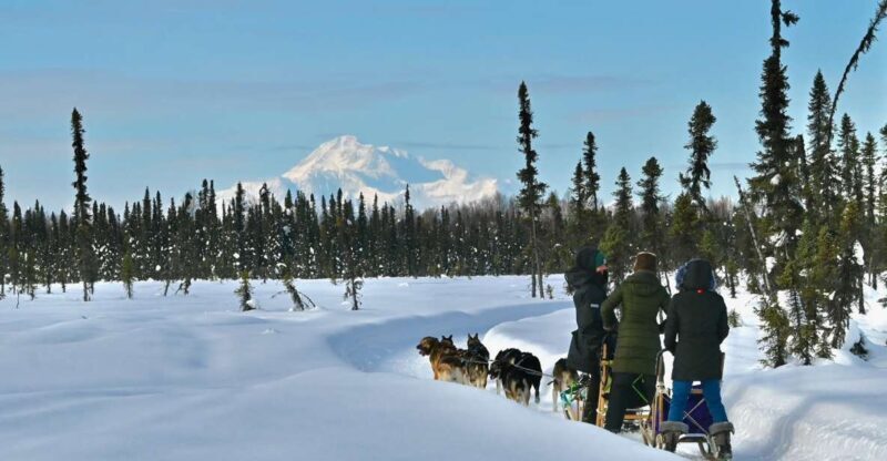 Winter Dog Sled Tour Day or Night Mush! - Final Thoughts