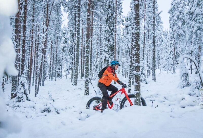 winter-electric-fat-bike-experience