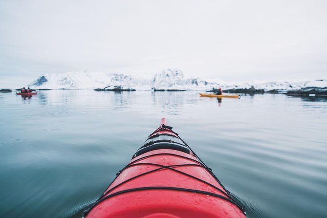 winter-half-day-kayak-tour