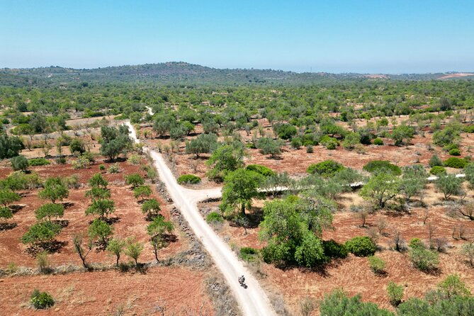 winter-offer-3-hr-fonte-da-benemola-electric-motorbike-tour