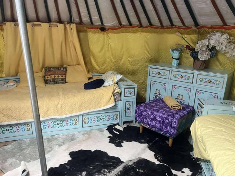 Winter tour: 2-Day Khustai & Terelj National Park Tour - Key Points