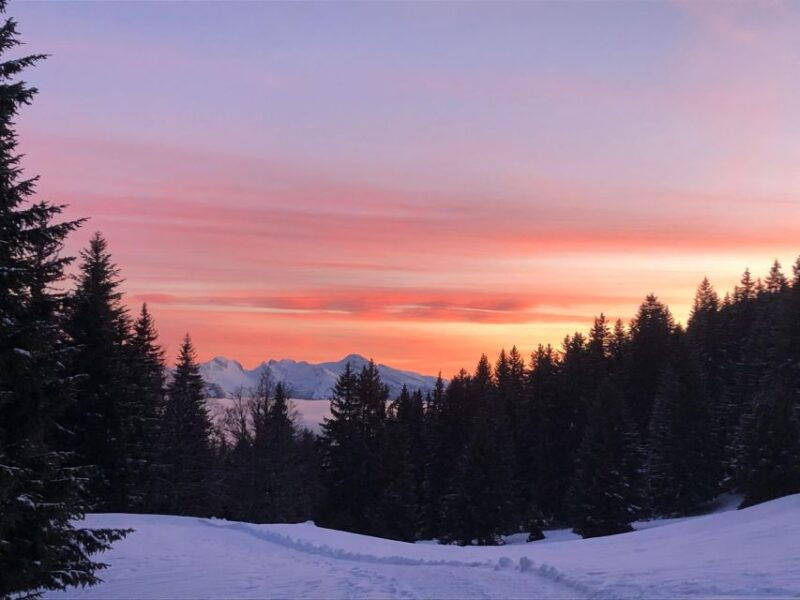 winter-wonderland-expedition-snowshoe-journey-into-the-wild