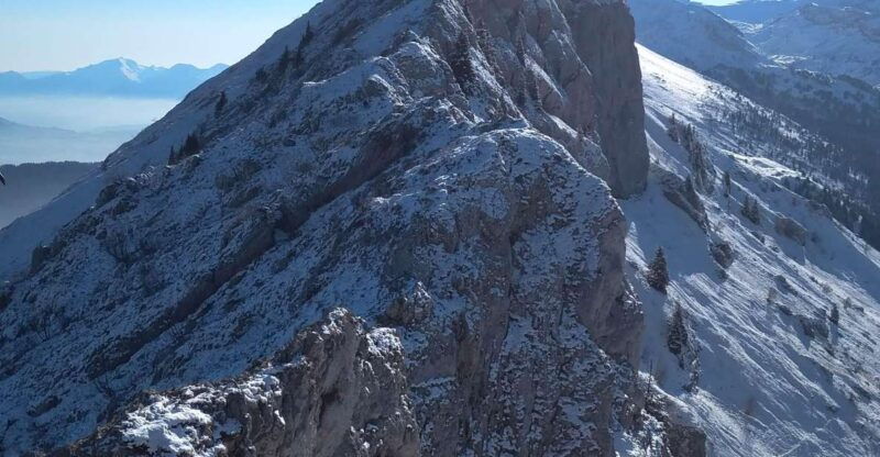 winter-wonderland-expedition-snowshoe-journey-into-the-wild