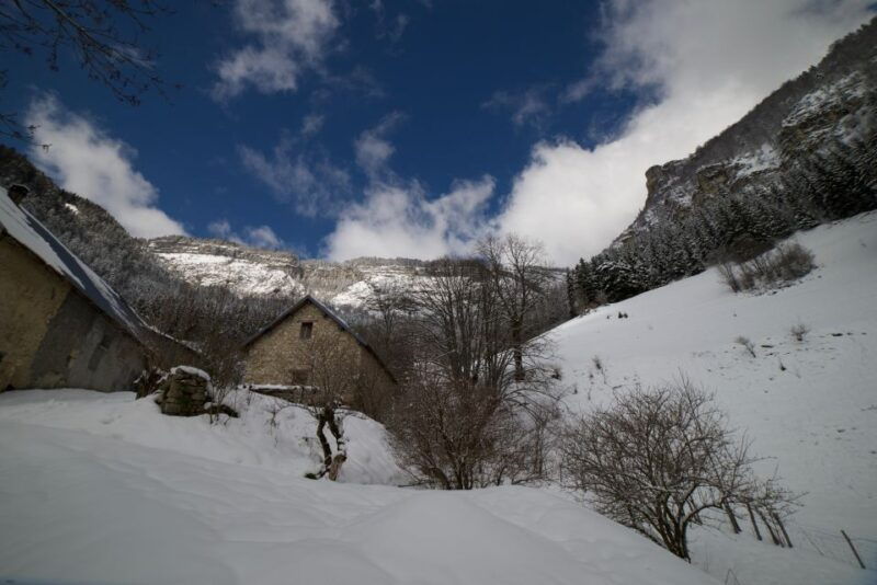 winter-wonderland-expedition-snowshoe-journey-into-the-wild