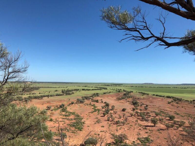 Winton: Bladensburg National Park Half Day Tour - The Experience in Detail  