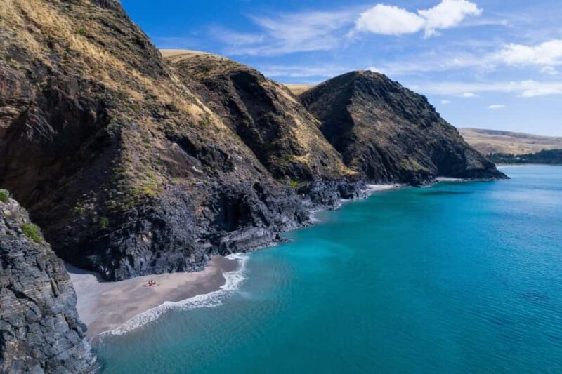Wirrina Cove: Coastal Sightseeing Boat Tour with Seal Colony - An Introduction to the Tour Experience